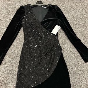 Bailey 44 velvet/sequin dress